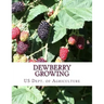 Dewberry Growing: Farmers' Bulletin 1403