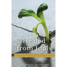 Healed from Idols: A Scripture-Backed Guide on How to Read the Bible for Spiritual Growth