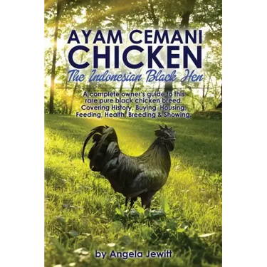 Ayam Cemani Chicken - The Indonesian Black Hen. A complete owner's guide to this rare pure black chicken breed. Covering History, Buying, Housing, Fee