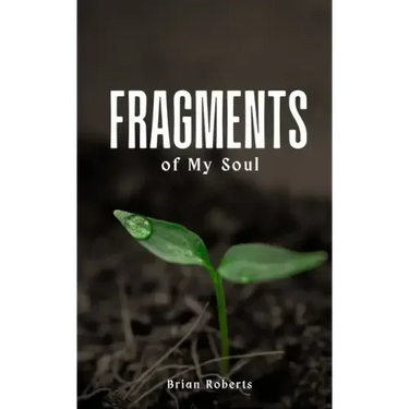 Fragments of My Soul