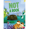 Not a Rock