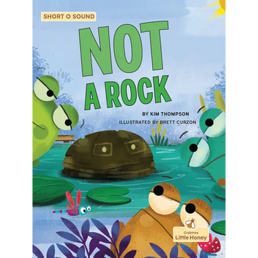 Not a Rock
