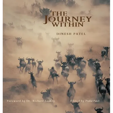 The Journey Within