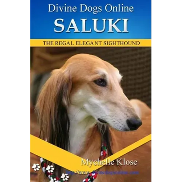Saluki