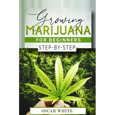 Growing Marijuana for Beginners: Step-by-Step in 10 STEPS