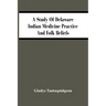 A Study Of Delaware Indian Medicine Practice And Folk Beliefs
