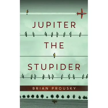 Jupiter the Stupider