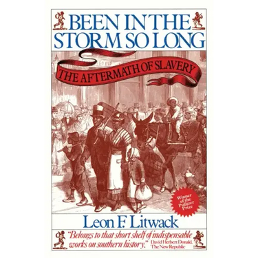 Been in the Storm So Long: The Aftermath of Slavery