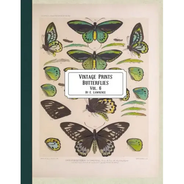 Vintage Prints: Butterflies: Vol. 3
