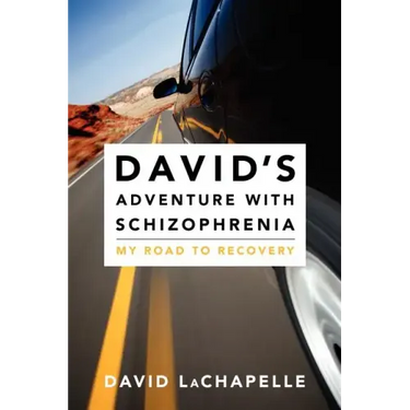 David's Adventure with Schizophrenia: My Road to Recovery