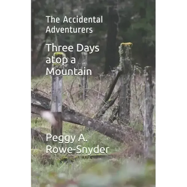 Three Days atop a Mountain: The Accidental Adventurers