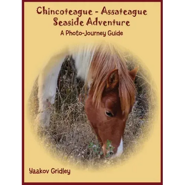 Chincoteague-Assateague Seaside Adventure: A Photo-Journey Guide