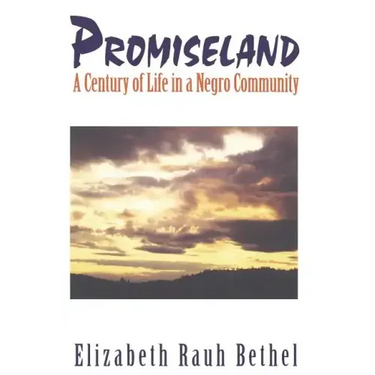 Promiseland: A Century of Life in a Negro Community