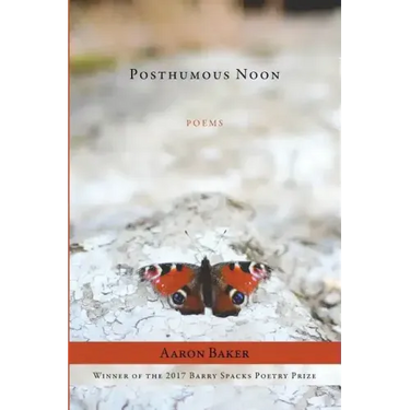 Posthumous Noon