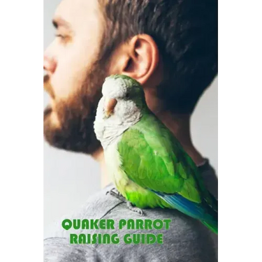 Quaker Parrot Raising Guide: Gift Ideas for Christmas