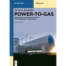 Power-To-Gas: Renewable Hydrogen Economy for the Energy Transition