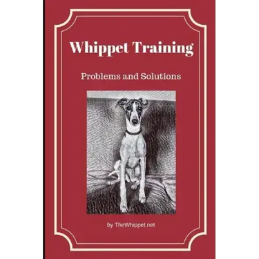 Whippet Training: Problems and Solutions