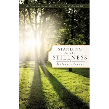 Standing In The Stillness