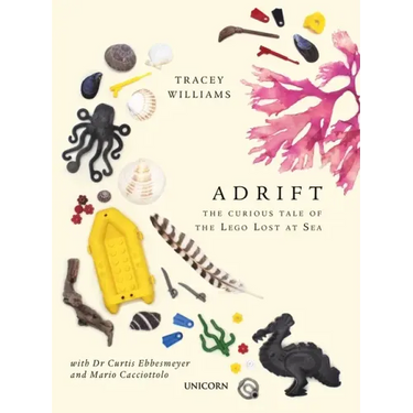 Adrift: The Curious Tale of the Lego Lost at Sea
