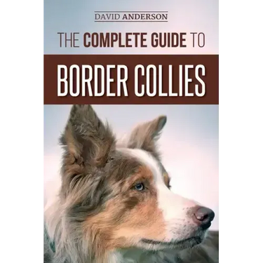 The Complete Guide to Border Collies: Training, teaching, feeding, raising, and loving your new Border Collie puppy