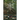 The Freshwater Fishes of Suriname