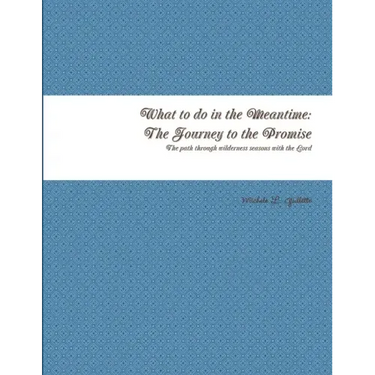 What to do in the Meantime: The Journey to God's Promises