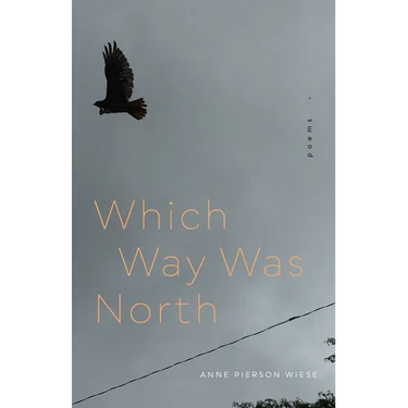 Which Way Was North: Poems