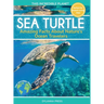Sea Turtle: Amazing Facts About Nature's Ocean Travelers