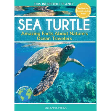 Sea Turtle: Amazing Facts About Nature's Ocean Travelers