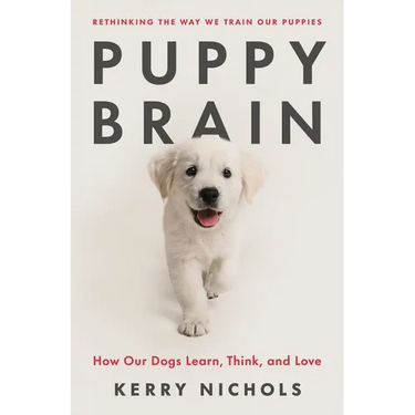Puppy Brain: How Our Dogs Learn, Think, and Love