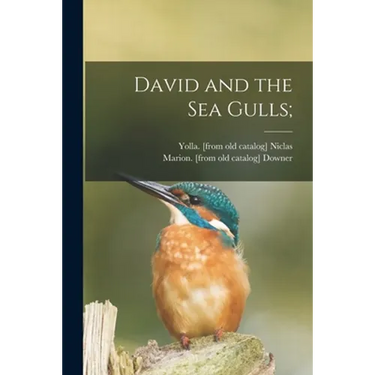 David and the Sea Gulls;