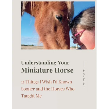 Understanding Your Miniature Horse