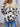 a60f694d-c2de-4647-ae36-3696be643ba4-Max
