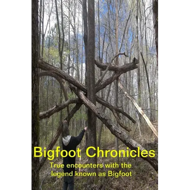 Bigfoot Chronicles