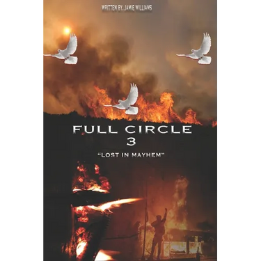 Full Circle 3 Lost in Mayhem: A cincinnati story