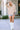 a73a5116769c4fd69a16e797771e2b85-Max