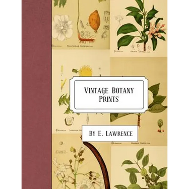 Vintage Botany Prints