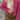 a840102c-1c01-404e-bc9c-5bf8609b4d84-Max
