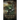 Brothers That Bite Chronicles Volume 1 Stories Of The Deadly Secrets World: Deadly Secrets Novella