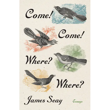 Come! Come! Where? Where?: Essays