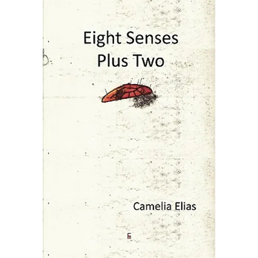 Eight Senses Plus Two