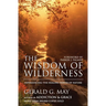 The Wisdom of Wilderness: Experiencing the Healing Power of Nature