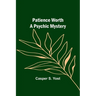 Patience Worth A Psychic Mystery