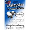 Learn Malaysian by Association - Lingo Links: The Easy Playful Way to Learn a New Language.