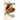 Cabeza y no cola Softcover head and not the tail