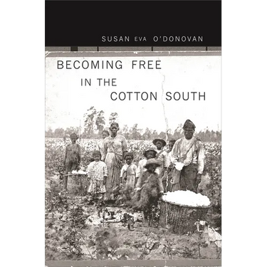 Becoming Free in the Cotton South