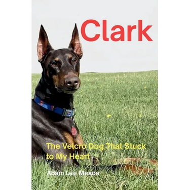 Clark: The Velcro Dog That Stuck to My Heart