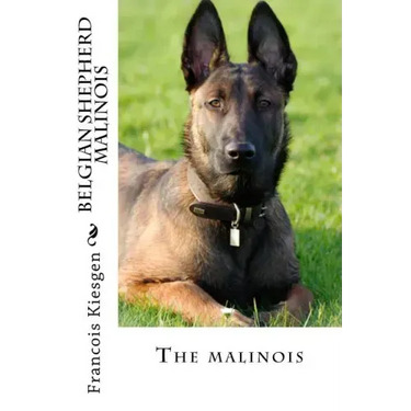 belgian shepherd malinois