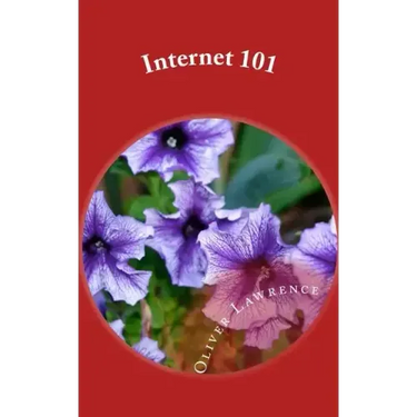 Internet 101: An Introduction to Web Surfing