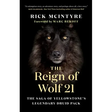 The Reign of Wolf 21: The Saga of Yellowstone's Legendary Druid Pack